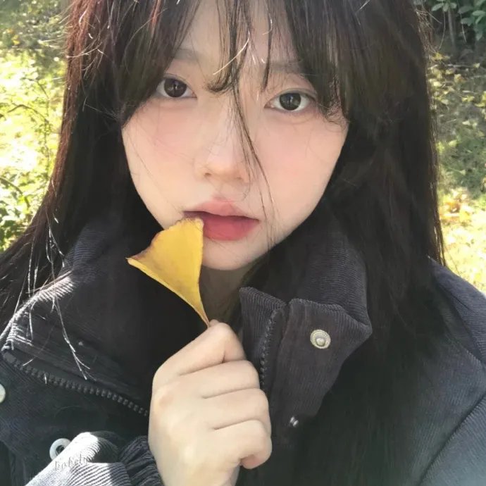担保 封面