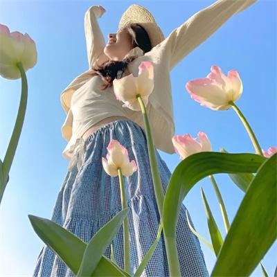 万渣朝凰第二季 封面