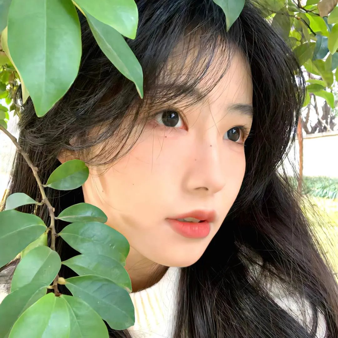 色情陷阱 封面
